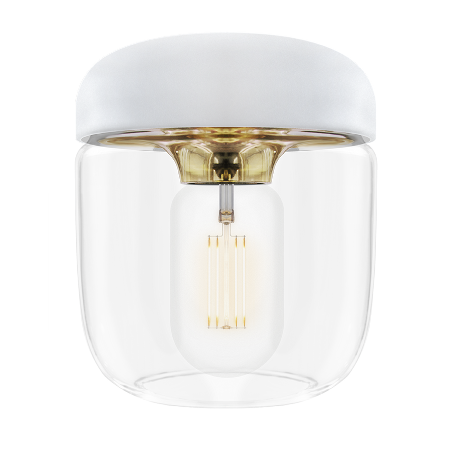 Acorn – UMAGE US Acorn – UMAGE US